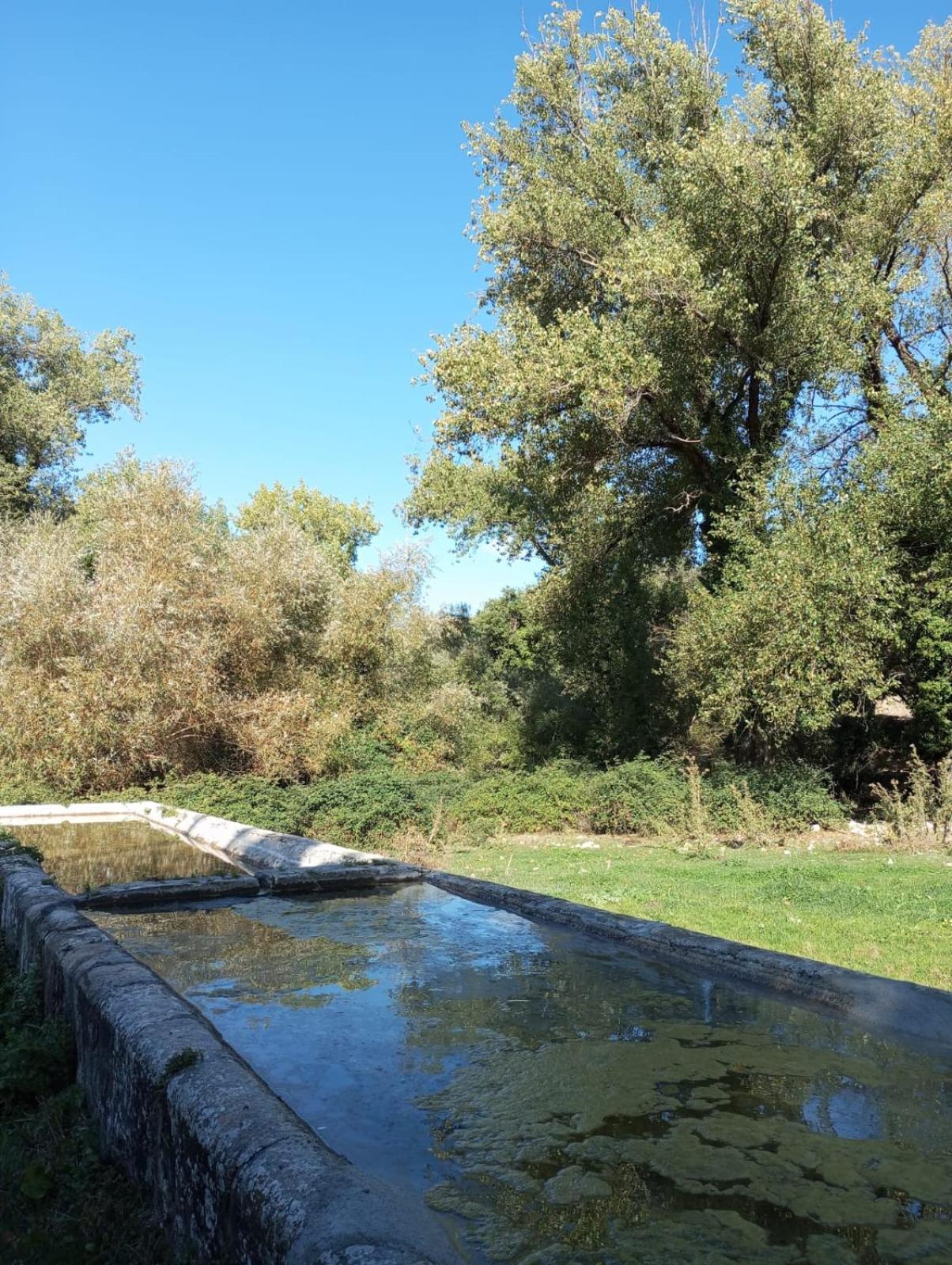 La Casa Di Enza Διαμέρισμα Santa Margherita di Belice Εξωτερικό φωτογραφία