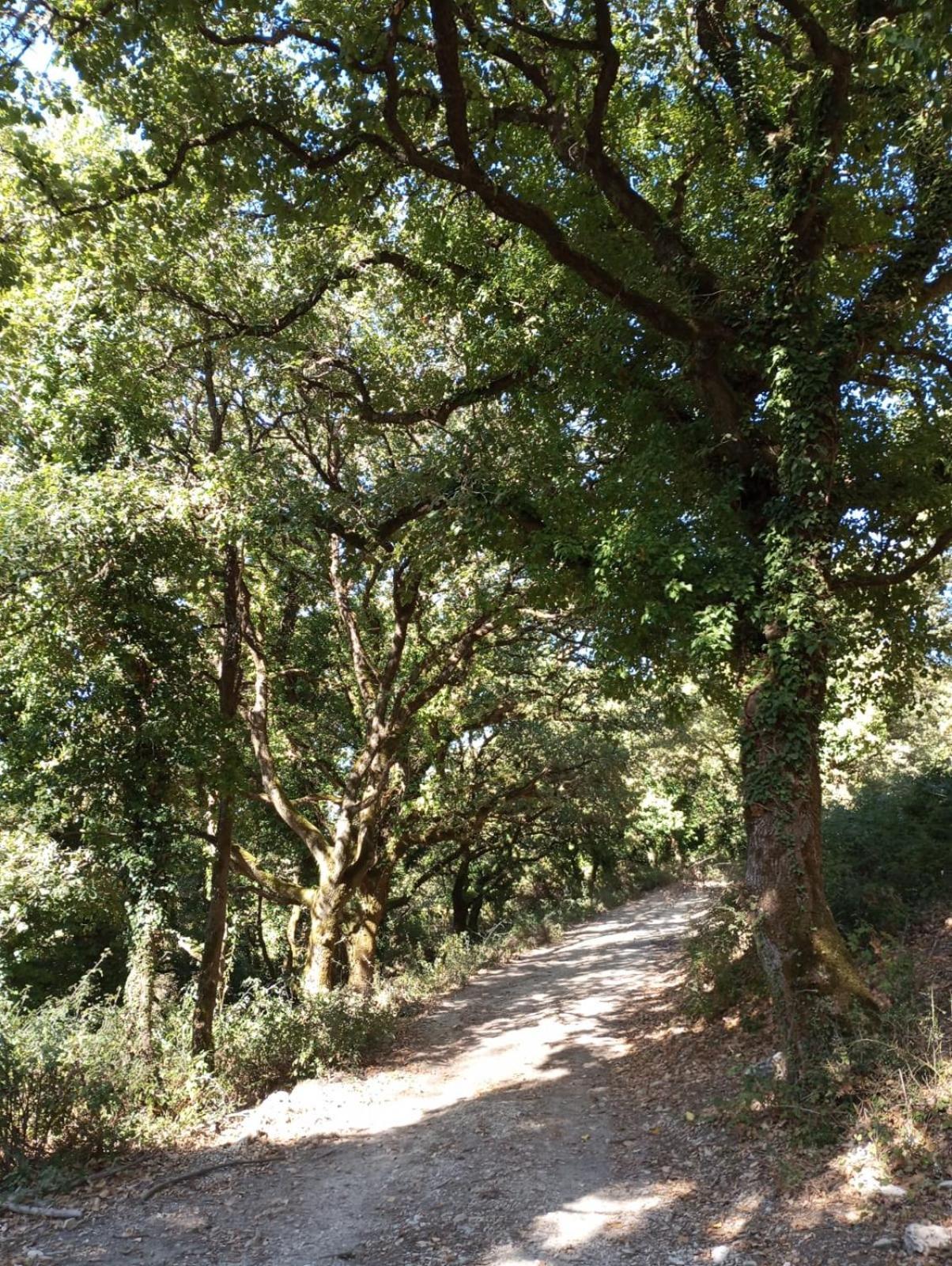 La Casa Di Enza Διαμέρισμα Santa Margherita di Belice Εξωτερικό φωτογραφία
